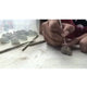 Arisan Hand Carving Skulls Oaxaca, Skull Mezcal Cups - Mystic World Finds